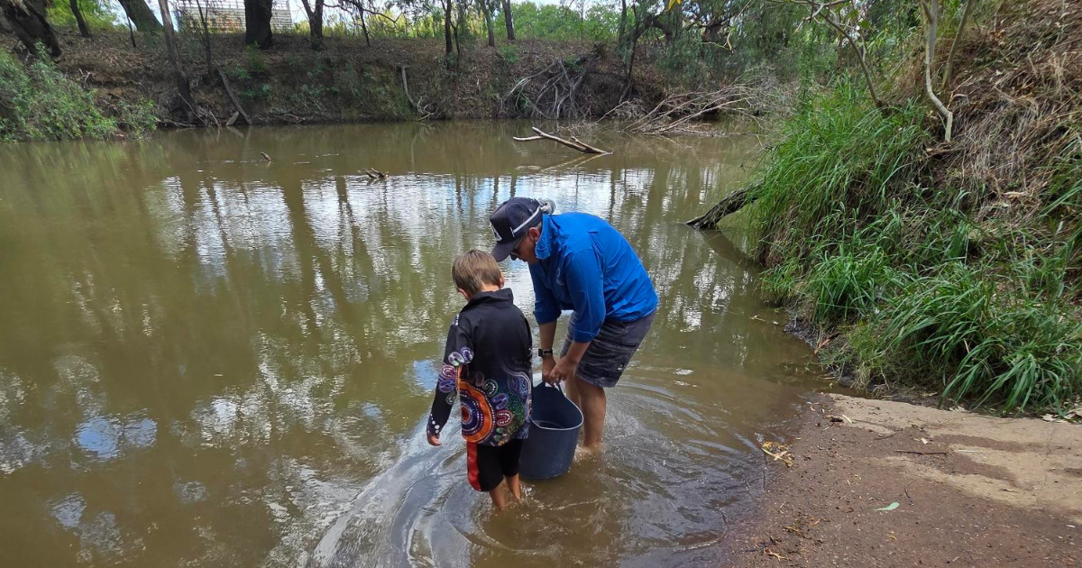 Media Release: Thousands of Murray Cod and Golden Perch  released in the Macquarie River